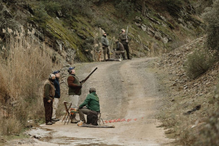 La Cuesta Driven Spanish Partridge Shooting