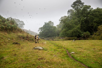 Pennyholme Estate - Driven Pheasant and Partridge Shooting
