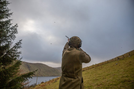 Saint Mary's Loch - Driven Pheasant Shooting