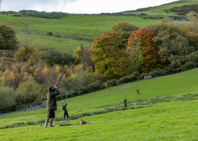 Cyffylliog Driven Pheasant & Partridge Shooting - Wales