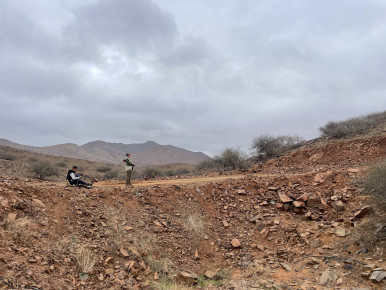 Moroccan Driven Partridge Shooting