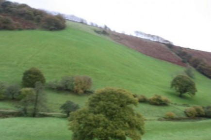 Withycombe Driven Pheasant & Partridge Shooting Exmoor