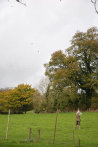 Withycombe Driven Pheasant & Partridge Shooting Exmoor