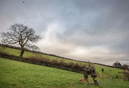 Withycombe Driven Pheasant and Partridge Shooting
