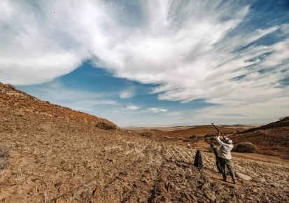 Driven Barbary Partridge Shooting Morocco - El Koudia