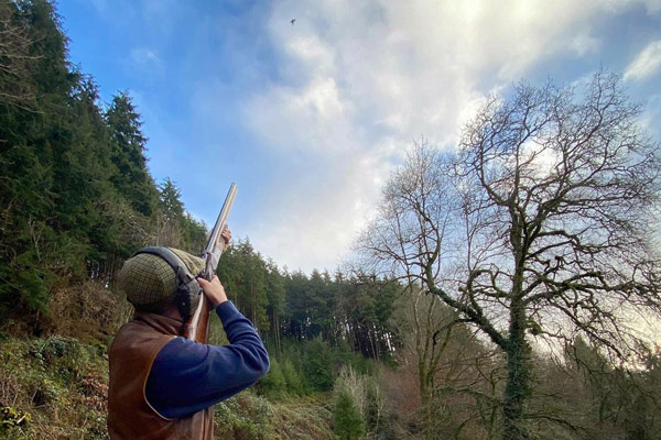 Endsleigh Shoot - Driven Pheasant & Partridge Shooting