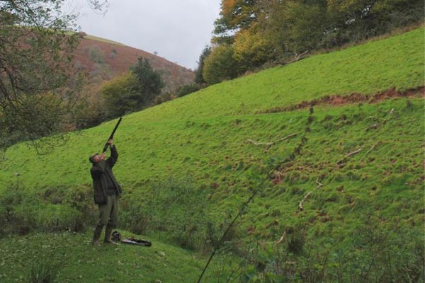 Withycombe Estate - Driven Pheasant & Partridge Shooting